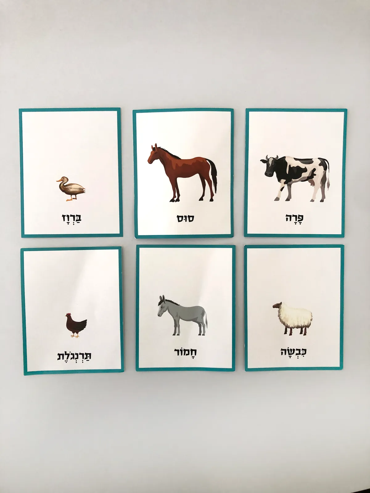 כרטיסיות ״חיות חווה״ להדפסה