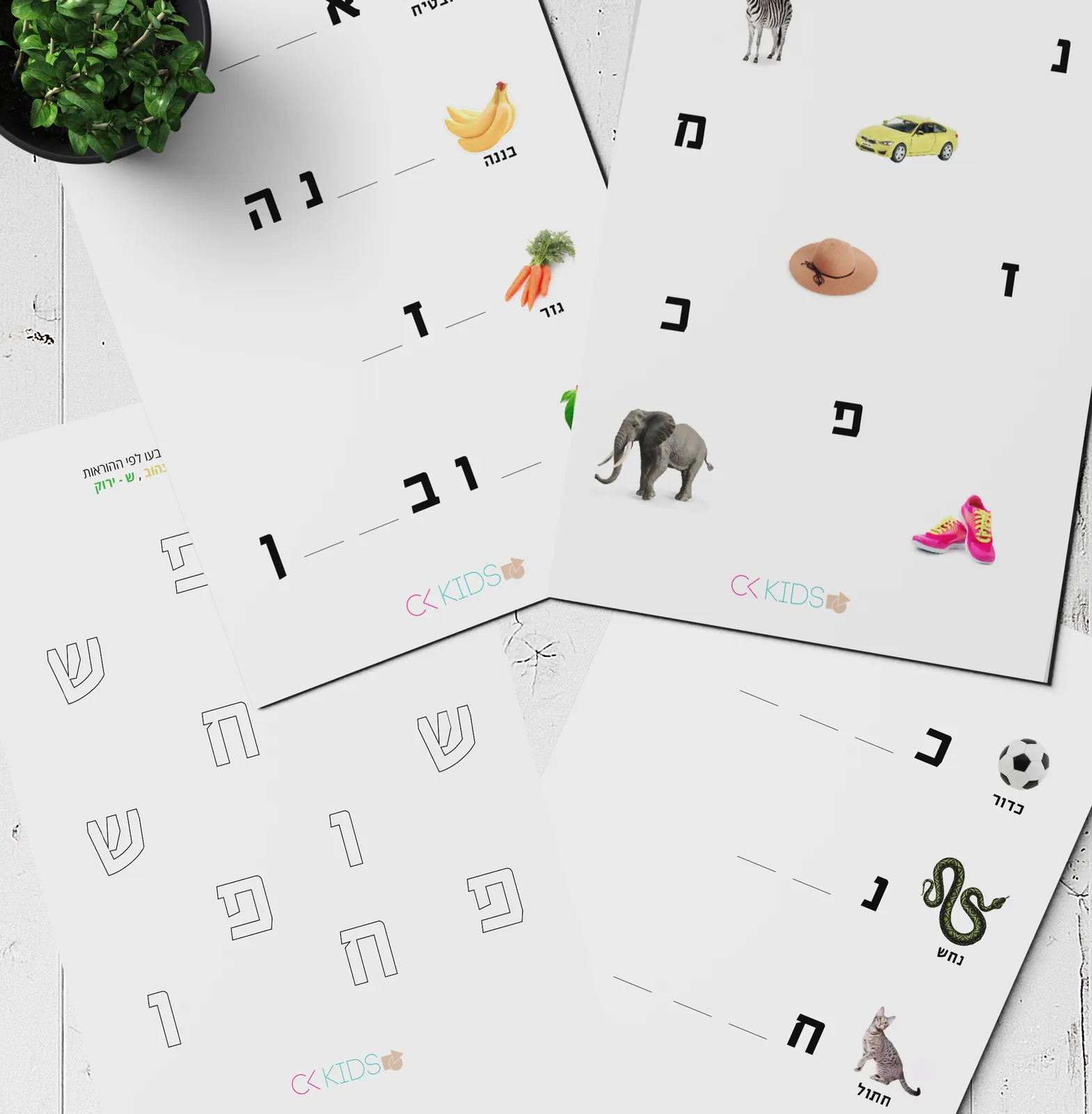 דפי פעילות -אותיות כתיבה