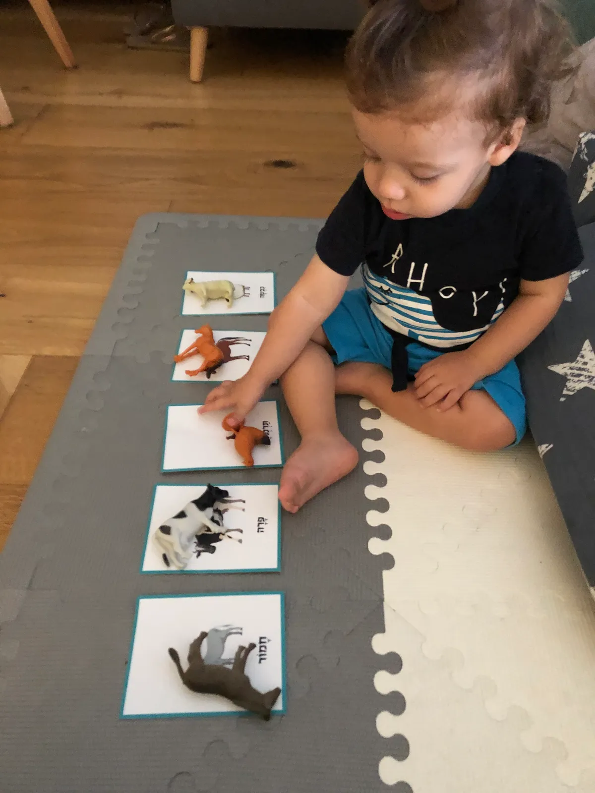 כרטיסיות ״חיות חווה״ להדפסה – תמונה 2