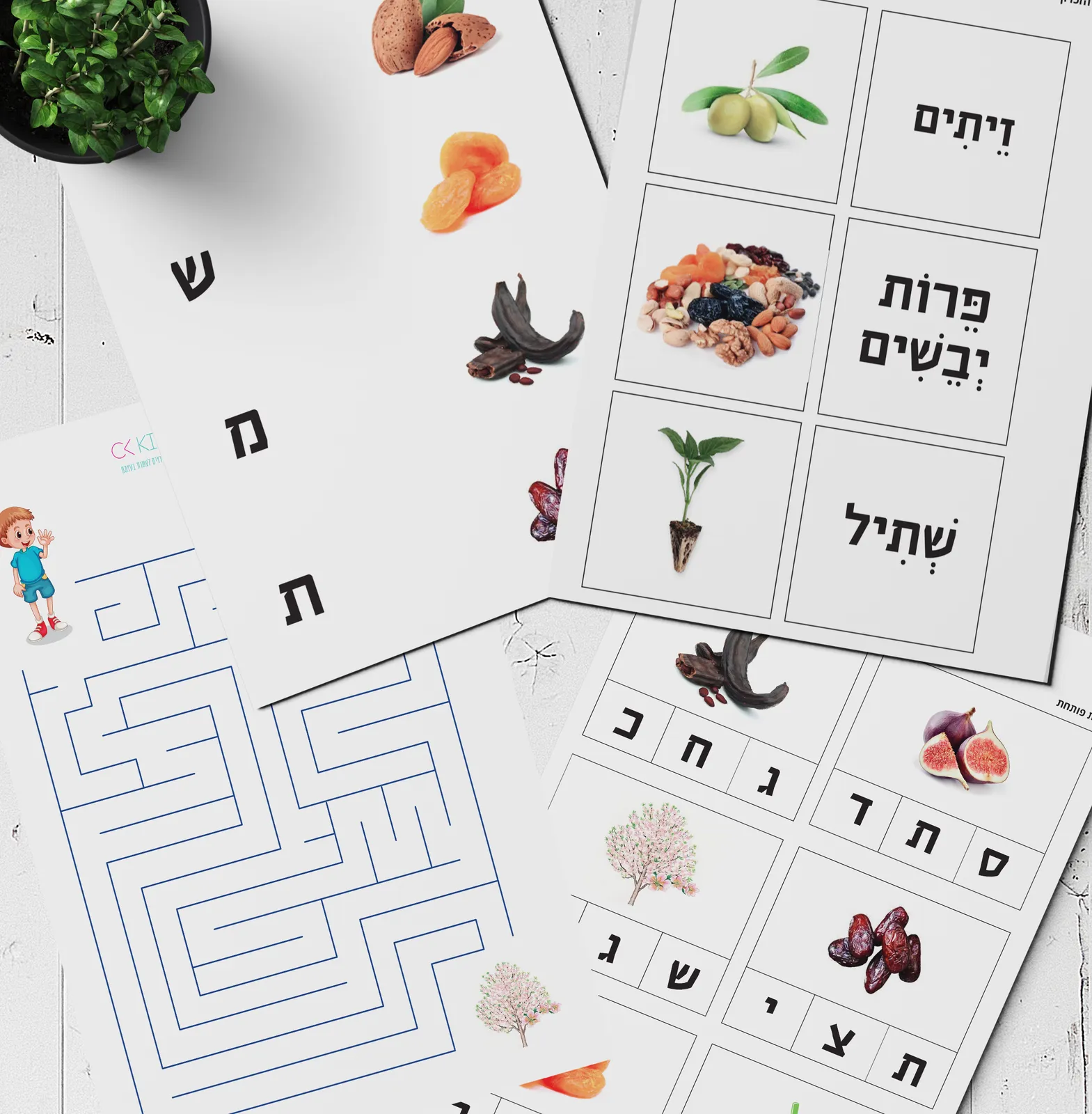 דפי פעילות - ט״ו בשבט אותיות